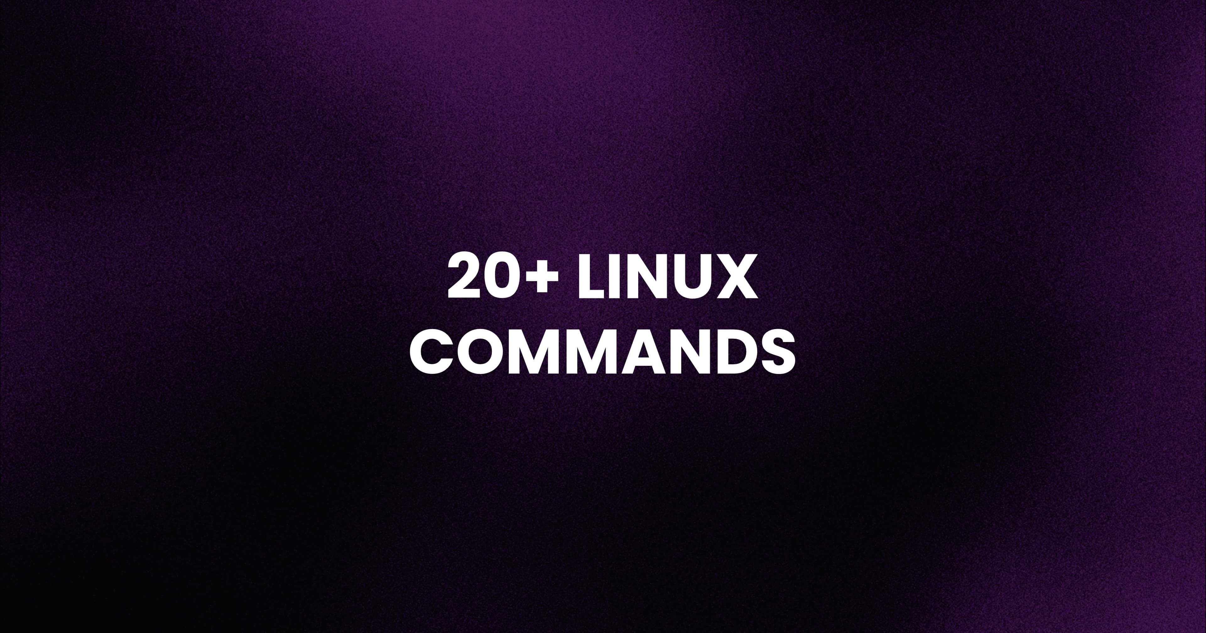 Top 20+1 Linux Commands for Beginners